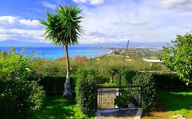 Vasiliki Guest House