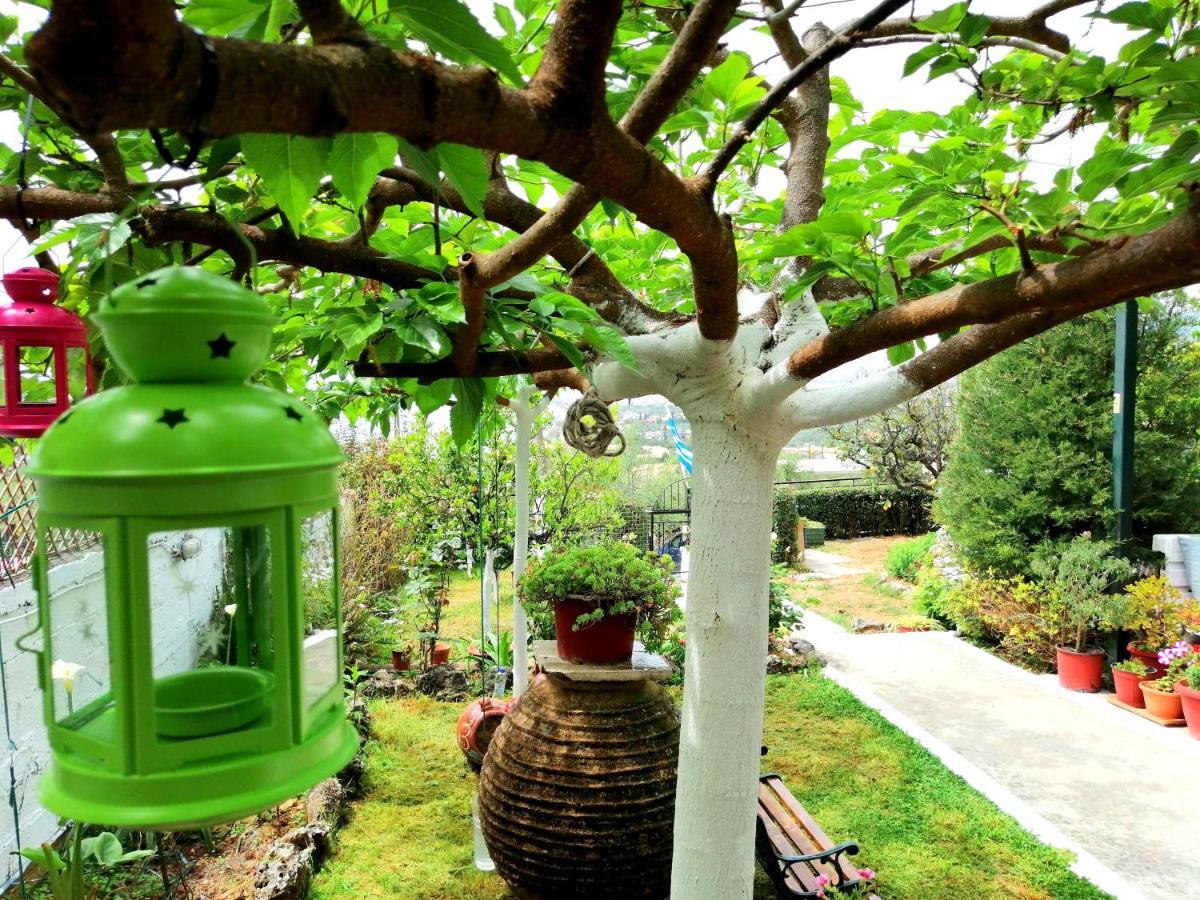 Vasiliki Guest House Kalamata Zewnętrze zdjęcie